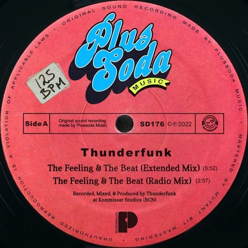 Thunderfunk - The Feeling & The Beat [SD176]